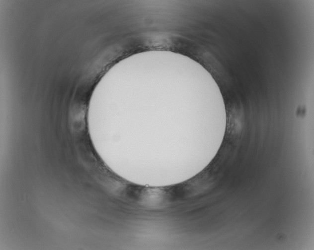 X0000111880717200909031840