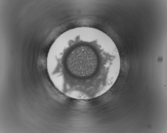X0000111880718200909031840