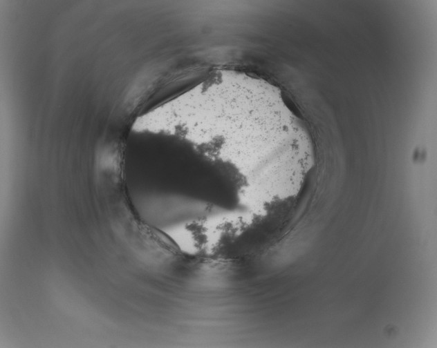 X0000111880720200909031840