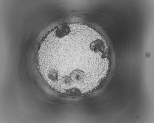 X0000111880721200909031839