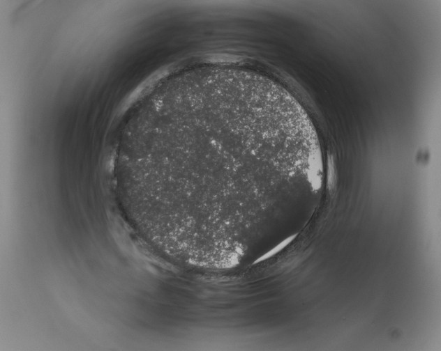 X0000111880723200909031839