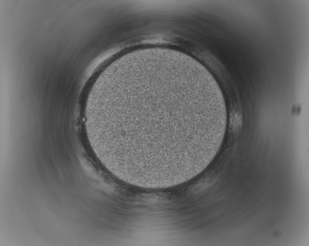 X0000111880724200909031839