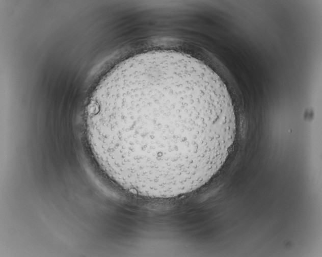 X0000111880725200909031839