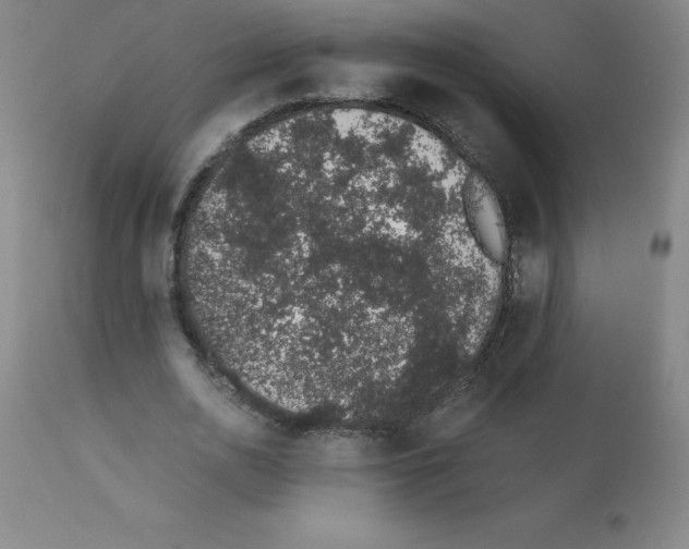 X0000111880726200909031839