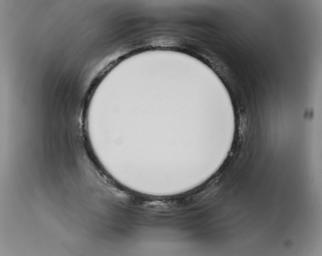 X0000111880727200909031839