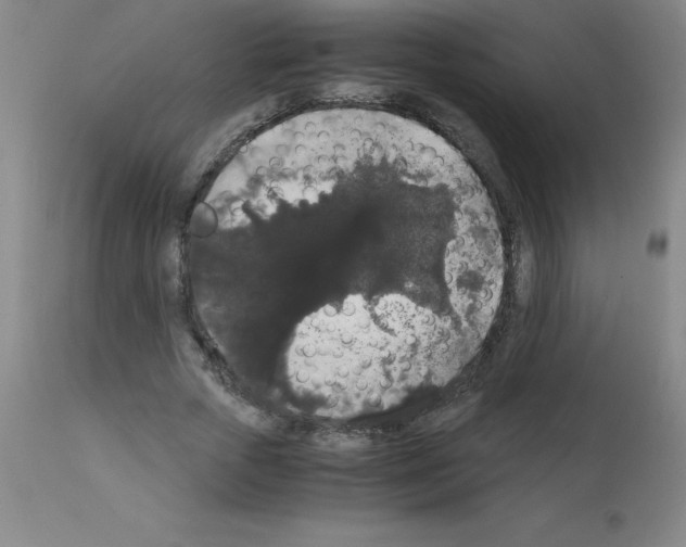X0000111880729200909031839