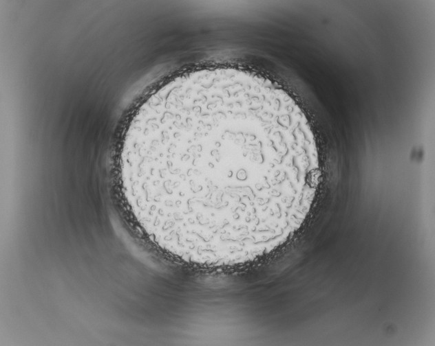 X0000111880730200909031839