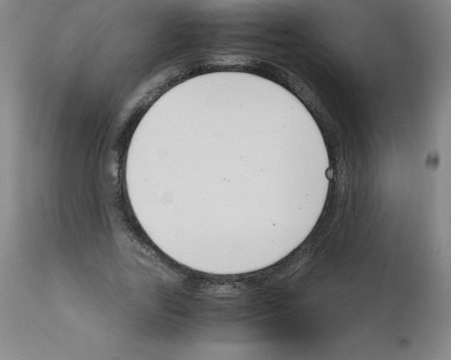X0000111880731200909031839