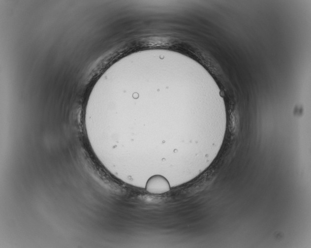 X0000111880733200909031839