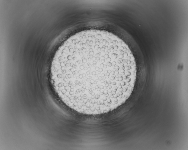 X0000111880734200909031839