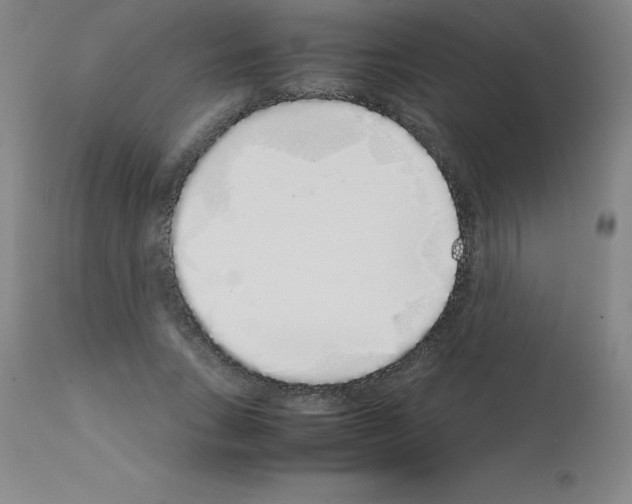 X0000111880735200909031839