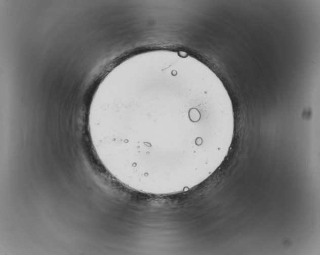 X0000111880736200909031839