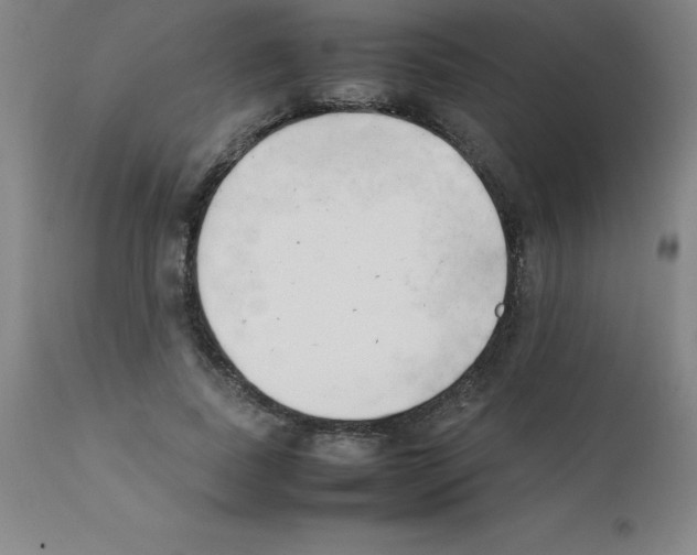 X0000111880739200909031839