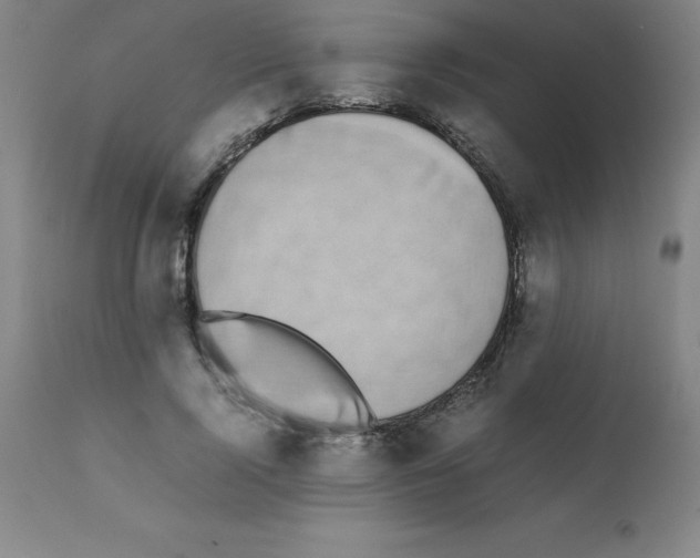 X0000111880740200909031839