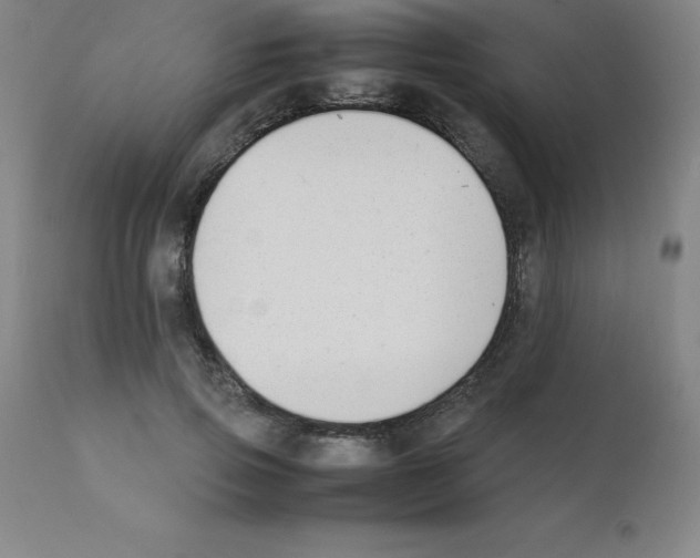X0000111880741200909031839