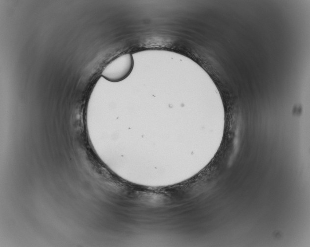 X0000111880743200909031840