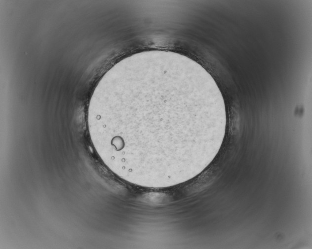 X0000111880748200909031840