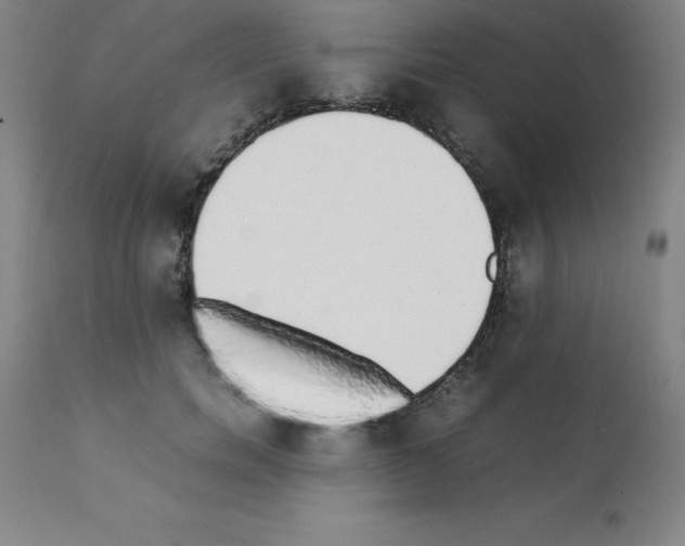 X0000111880750200909031840