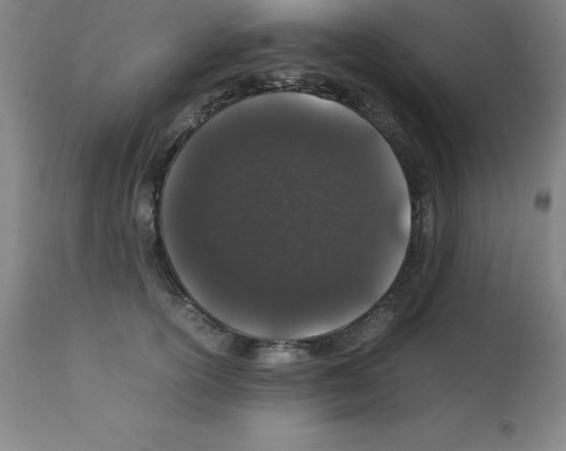 X0000111880754200909031840