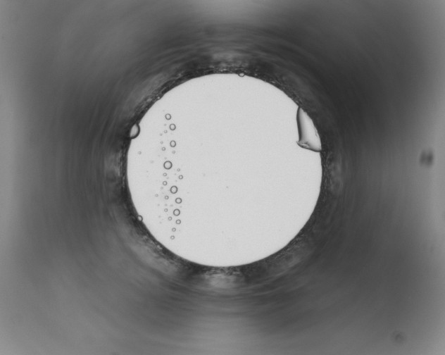 X0000111880756200909031840