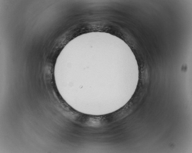 X0000111880757200909031840