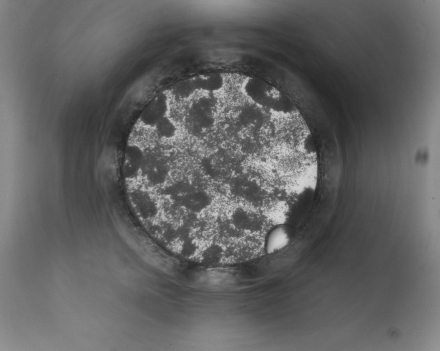 X0000111880758200909031840