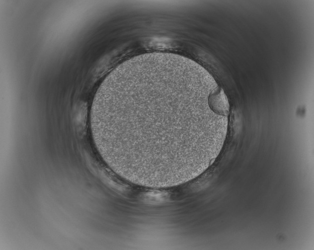 X0000111880760200909031840