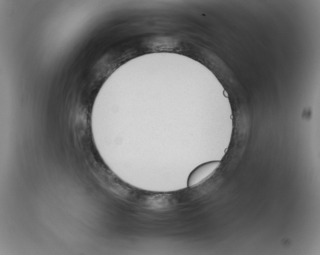 X0000111880761200909031840