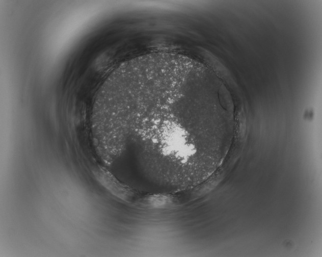 X0000111880762200909031840