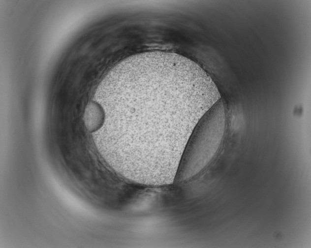 X0000111880764200909031840