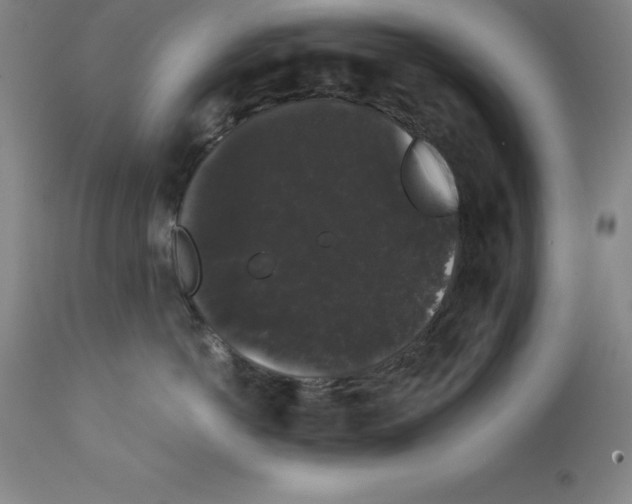 X0000111880766200909031840