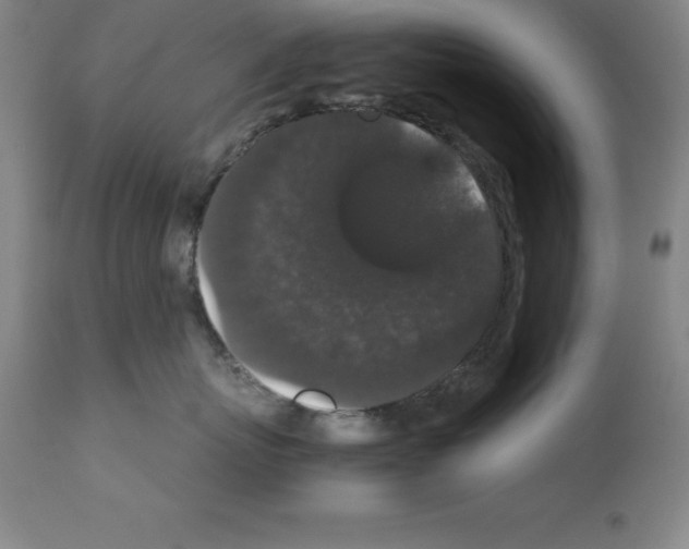 X0000111880767200909031840