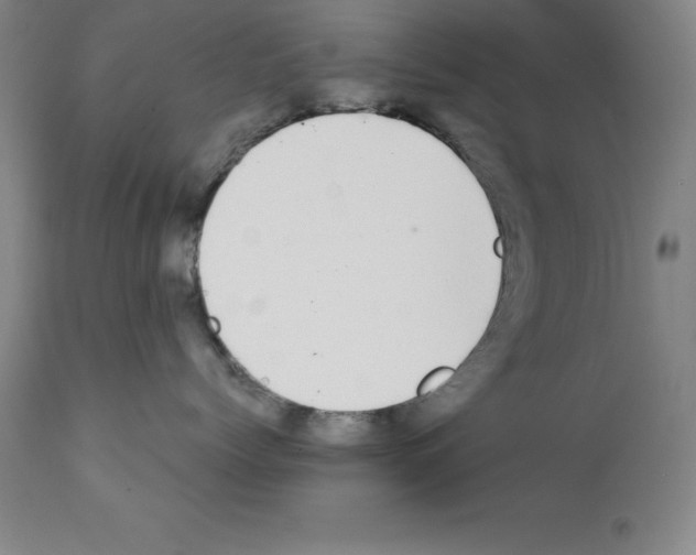 X0000111880768200909031840