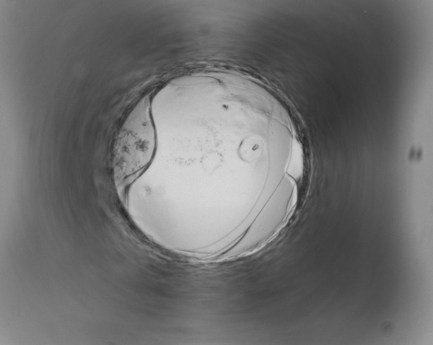 X0000111880769200909031839