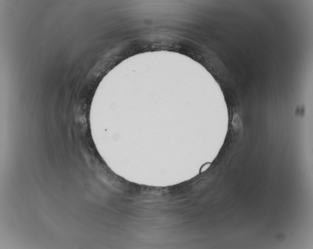 X0000111880771200909031839
