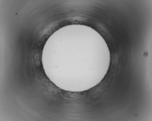X0000111880774200909031839