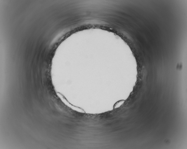 X0000111880775200909031839