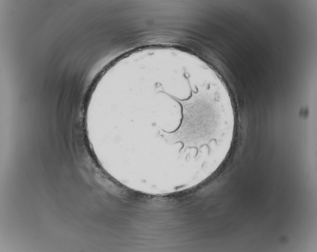 X0000111880779200909031839