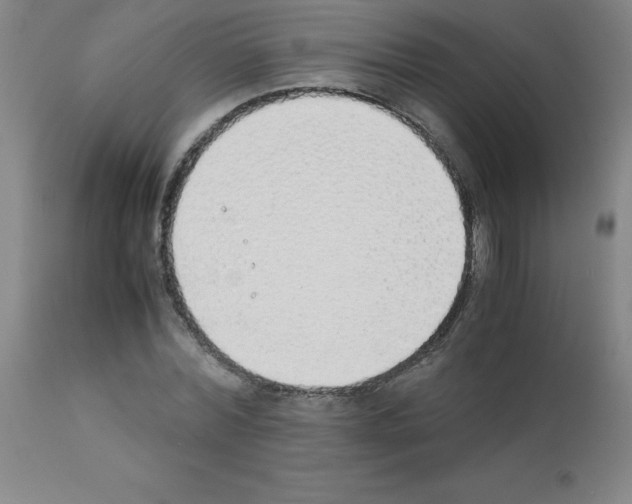 X0000111880780200909031839