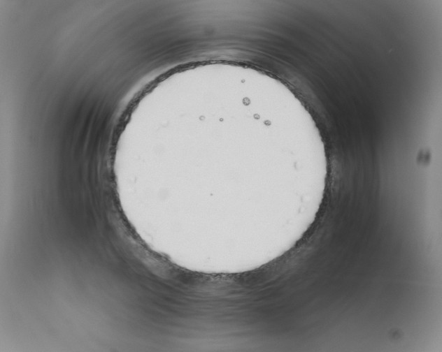 X0000111880784200909031839