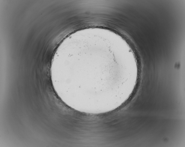 X0000111880785200909031839