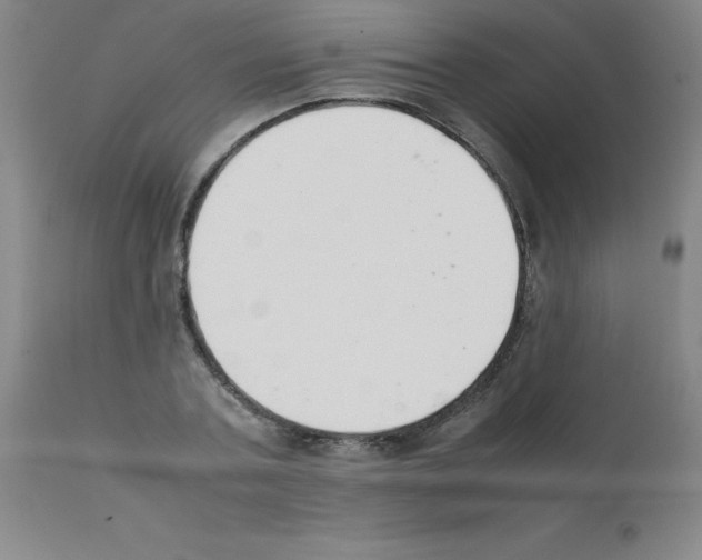 X0000111880787200909031839