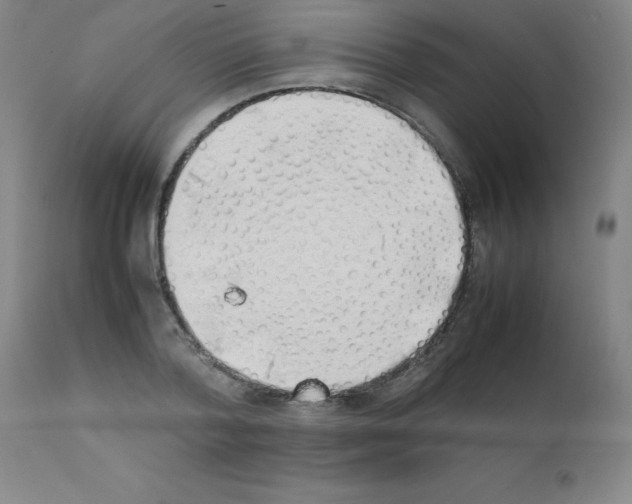 X0000111880788200909031839