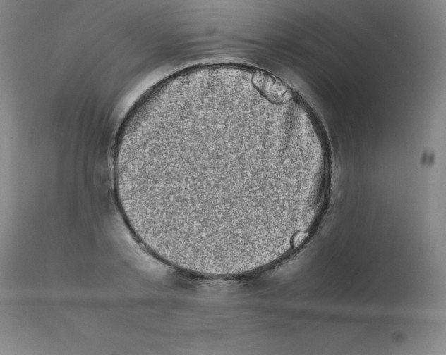 X0000111880789200909031839