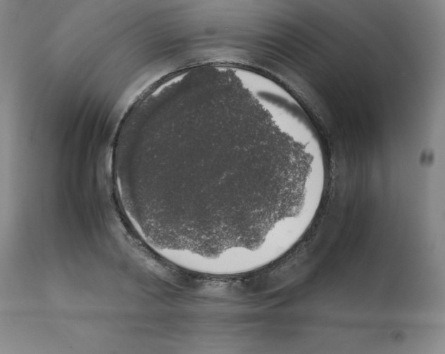 X0000111880790200909031839
