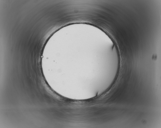 X0000111880797200909031839