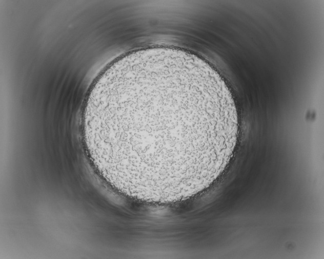 X0000111880798200909031839