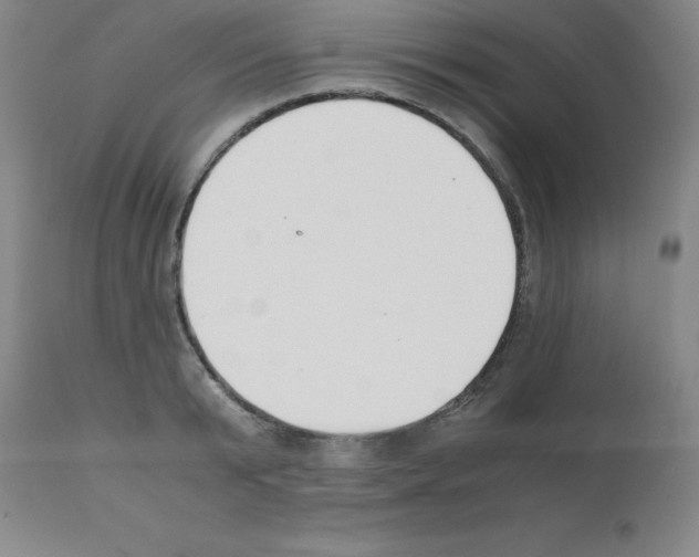 X0000111880799200909031839