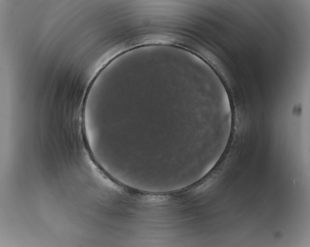 X0000111880802200909031839