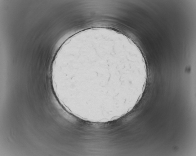 X0000111880803200909031839
